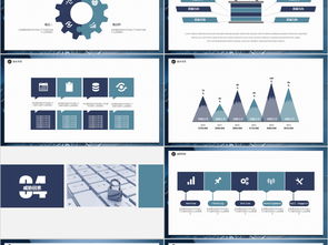 网络与信息安全软件开发 从技术实践到商务呈现